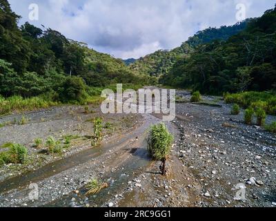 Drohnenaufnahme eines Flusses im Regenwald des Nationalpark Corcovado, penisola di osa, Costa Rica, Zentralamerika |Drone shot di un fiume nella foresta pluviale Foto Stock