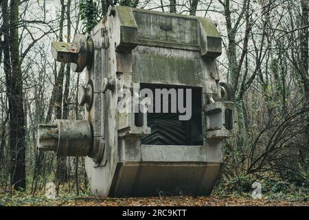 Vecchia rettificatrice per minerali nella foresta. Macchine abbandonate di storia industriale. Produzione di ferro e acciaio. Foto Stock