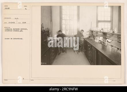 I soldati del Chemical Warfare Service all'Edgewood Arsenal, MD, sono visti condurre lavori di laboratorio. La fotografia, scattata nel 1918 da S.C. Symbol, cattura una scena nel laboratorio come parte degli sforzi di modernizzazione del Chemical Warfare Service durante la prima guerra mondiale. Foto Stock