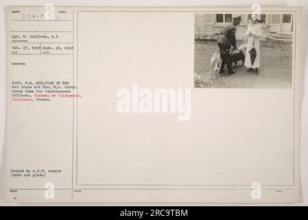 Didascalia: "Cap. F.M. Sullivan della Croce Rossa e la signora W.E. Corey alla Corey Home per ufficiali convalescenti a Chateau de Villegenis, Palaiseau, Francia. Fotografia scattata il 18 settembre 1918. Questa immagine mostra il capitano Sullivan e la signora Corey durante la loro visita alla casa degli ufficiali di convalescenza." Foto Stock