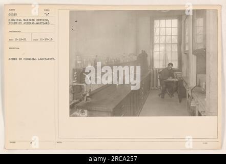 Personale del servizio di guerra chimica che conduce esperimenti in un laboratorio chimico presso Edgewood Arsenal, MD. La foto è stata scattata il 10 novembre 1918 e il simbolo del fotografo è "A". La descrizione dell'immagine è "Scene in Chemical Laboratory", pubblicata con le note numero 9060220. Foto Stock