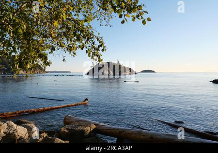 Stagione autunnale al Whytecliff Park, West Vancouver, British Columbia, Canada Foto Stock