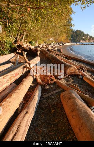 Stagione autunnale al Whytecliff Park, West Vancouver, British Columbia, Canada Foto Stock