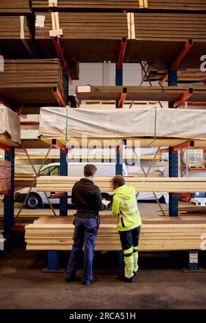 Vista posteriore di colleghi multirazziali con tavole su scaffalature che lavorano nell'industria del legname Foto Stock