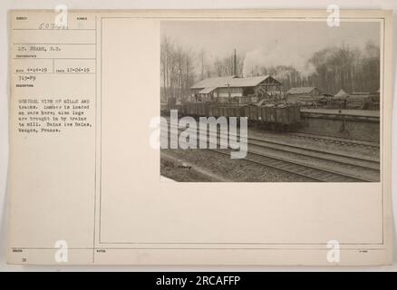 Una vista generale dei mulini e dei binari a Baibs Les Bains, Vosges, Francia. Il legname viene caricato sulle automobili e i grandi tronchi vengono trasportati al mulino dai treni. La foto è stata scattata dal tenente Sears, S.C., il 14 aprile 1919 e pubblicata con il numero 130. (Didascalia da fotografie di attività militari americane durante la prima guerra mondiale) Foto Stock