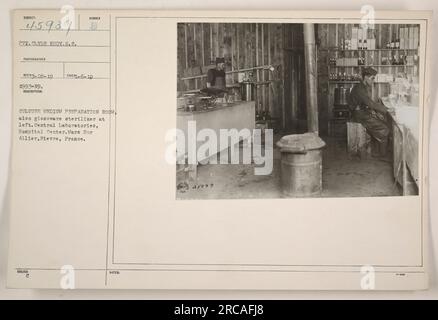 Sala di preparazione media culturale presso i laboratori centrali, Hospital Center in Mars sur Allier, Nievre, Francia durante la prima guerra mondiale. La sala è dotata di sterilizzatore per vetreria visibile sul lato sinistro dell'immagine. Questa foto è stata scattata dal Pvt Clyde Eddy del Signal Corps. Foto Stock