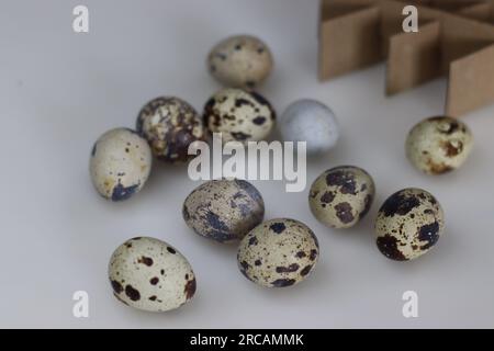 Uova di quaglia. Le uova di quaglia sono un tipo di uova mangiate come cibo e considerate una prelibatezza in molte parti del mondo. Sono piccole e presentano un colore crema Foto Stock