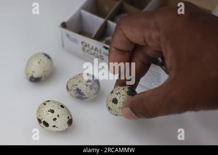 Uova di quaglia. Le uova di quaglia sono un tipo di uova mangiate come cibo e considerate una prelibatezza in molte parti del mondo. Sono piccole e presentano un colore crema Foto Stock