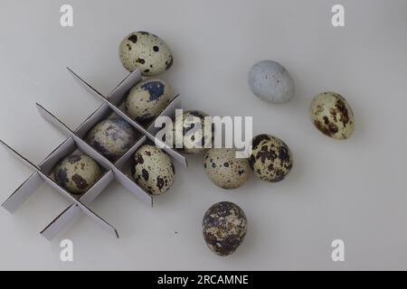 Uova di quaglia. Le uova di quaglia sono un tipo di uova mangiate come cibo e considerate una prelibatezza in molte parti del mondo. Sono piccole e presentano un colore crema Foto Stock