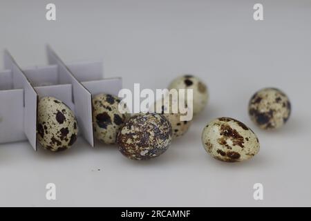 Uova di quaglia. Le uova di quaglia sono un tipo di uova mangiate come cibo e considerate una prelibatezza in molte parti del mondo. Sono piccole e presentano un colore crema Foto Stock
