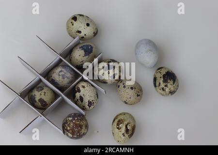 Uova di quaglia. Le uova di quaglia sono un tipo di uova mangiate come cibo e considerate una prelibatezza in molte parti del mondo. Sono piccole e presentano un colore crema Foto Stock