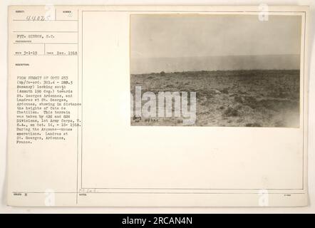 Pvt. Gibbon, S.C., un fotografo, ha scattato questa foto il 1918 dicembre. L'immagine è stata scattata dalla cima della Cote 253, con le coordinate 301,4 288,3 Buzancy, guardando a sud. In lontananza si possono vedere le alture di Cote de Chatillon. Quest'area fu catturata dalla 42a e 82a divisione, 1st Army Corps, T. S.A., il 14 e 16 ottobre 1918, durante le operazioni Argonne-Meuse a Landres et St. Georges, Ardennes, Francia. Foto Stock