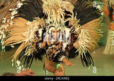 Parintins, Brasile - 06 dicembre 2015: showgirl di carnevale brasiliano di samba Foto Stock