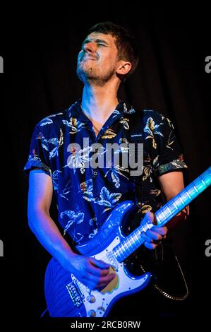 Ed Clarke alla chitarra Foto Stock