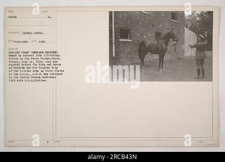 English Tommy, un gelding inglese, era di proprietà del generale John J. Pershing durante la prima guerra mondiale. Nel luglio 1919, è stato guidato nella Parata della Pace a Parigi, in Francia. Fu anche sfilato davanti al re e alla regina del Belgio e a Sir Douglas Haig dell'esercito britannico durante le loro visite al G.H.Q., A.E.F. Tommy è tornato negli Stati Uniti nel settembre 1919 con le G.H.Q. Stables. Questa foto è stata scattata nel 1920. (Sumber 69790, Photographer: Signal Corps, ECD 7-29-1920, Symbol Issed 1920 A) Foto Stock