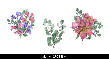 Set di mazzi di acquerelli con epori, rami di eucalipto, giacinti. Illustrazione botanica di fiori primaverili isolati su bianco. Foto Stock