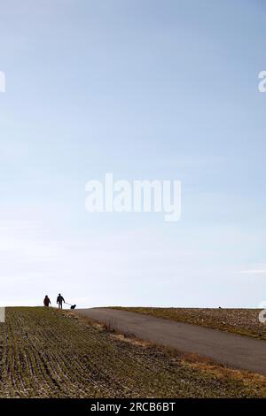 Passeggiata con il cane Foto Stock