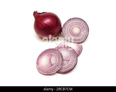 Cipolla comune viola (Allium cepa) Foto Stock