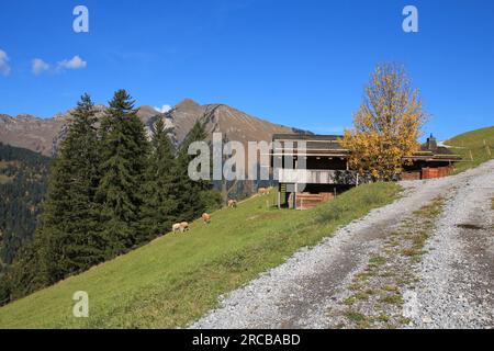 Autunno rurale scena vicino a Gstaad Foto Stock