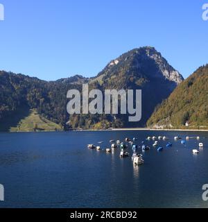 Scena autunnale a Innerthal, Canton Svitto Foto Stock