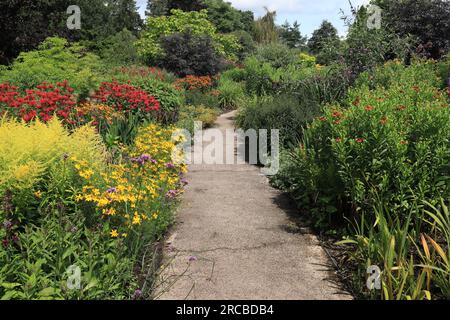 RHS Rosemoor Hot Garden, Great Torrington, North Devon, Inghilterra, Regno Unito Foto Stock