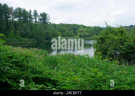 Lago artificiale di Tarrytown in una giornata parzialmente nuvolosa all'inizio dell'estate con alcuni riflessi nell'acqua -05 Foto Stock