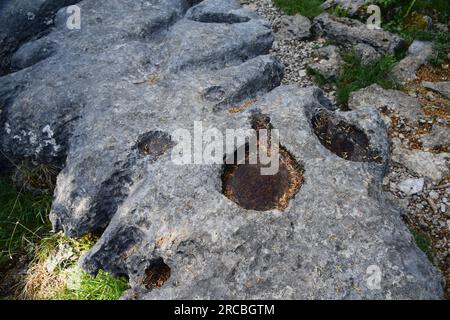 Clints and Grikes presso la pavimentazione in pietra calcarea del Carbonifero sul tetto di Hutton. Foto Stock