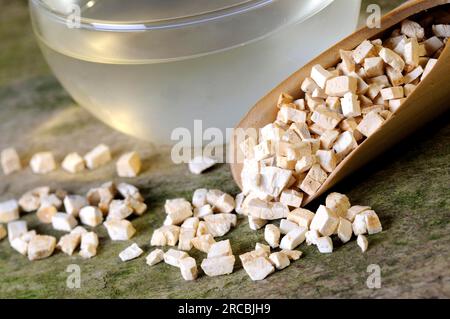 Tazza con tè alle radici di zucca (Trichosanthis Radix), tè alle radici di zucca Foto Stock