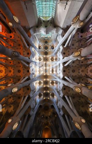 Barcellona, Spagna, 6 giugno 2023, dettaglio interno della cattedrale della Sacra famiglia sotto contorto, vista prospettica verso il soffitto Foto Stock