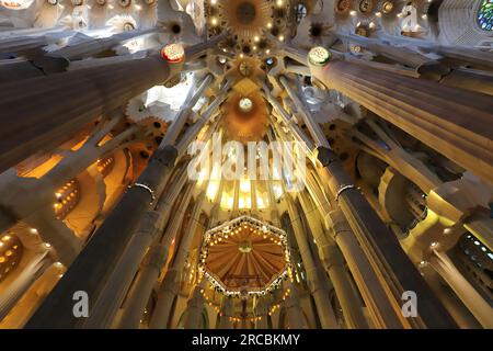 Barcellona, Spagna, 6 giugno 2023, dettaglio interno della cattedrale della Sacra famiglia sotto contorto, vista prospettica verso il soffitto Foto Stock