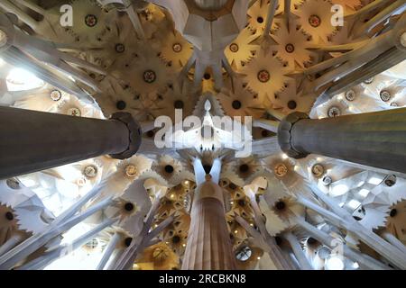 Barcellona, Spagna, 6 giugno 2023, dettaglio interno della cattedrale della Sacra famiglia sotto contorto, vista prospettica verso il soffitto Foto Stock