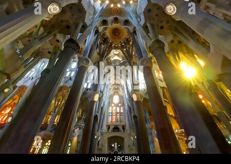 Barcellona, Spagna, 6 giugno 2023, dettaglio interno della cattedrale della Sacra famiglia sotto contorto, vista prospettica verso il soffitto Foto Stock