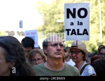 Madrid, Madrid, Spagna. 13 luglio 2023. Centinaia di residenti si sono riuniti a Madrid per protestare contro il presunto abbattimento massiccio di alberi in via Ãncora. Un'azione che, a quanto pare, sarà intrapresa dal Consiglio comunale di Madrid in occasione dell'estensione della linea 11 della metropolitana. (Immagine di credito: © Richard Zubelzu/ZUMA Press Wire) SOLO USO EDITORIALE! Non per USO commerciale! Foto Stock