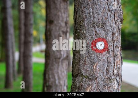 Cartello rosso su un albero. Cerchio rosso con un punto bianco. Indicazioni per il sentiero escursionistico . Foto Stock