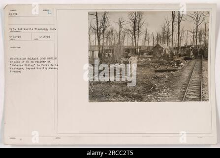 I soldati dell'esercito americano sono visti alla discarica di salvataggio delle munizioni situata accanto ai binari di una ferrovia di 60 cm a 'Osborne Siding' a Foret de la Montagne, oltre Mouilly, Mosa, Francia. La foto è stata scattata il 16 gennaio 1919 dal sergente Morris Fineberg. Foto Stock