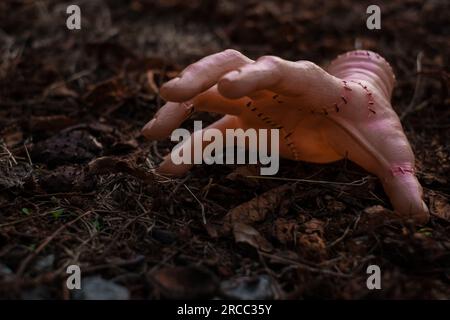 Mano umana realistica o cosa con cicatrici e macchie. Mercoledì, film Addams. Foto Stock