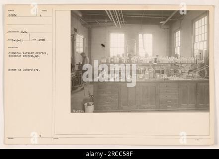 Uno scienziato conduce esperimenti in un laboratorio all'Edgewood Arsenal nel Maryland nel 1918. Questa immagine fa parte delle fotografie delle attività militari americane durante la prima guerra mondiale. La struttura è stata utilizzata dal Chemical Warfare Service per la ricerca e lo sviluppo relativi alle armi chimiche. Foto Stock