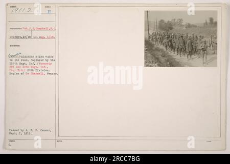 Questa fotografia, numerata 111-SC-19112, mostra i prigionieri tedeschi che vengono portati dietro. Furono catturati dal 110th Regiment Infantry, precedentemente noto come 3rd and 10th Regiment Infantry della Pennsylvania National Guard. L'evento si è svolto nella regione di le Charmell, in Francia. La foto è stata scattata da Pvt. J.S. Campbell il 1 agosto 1918, ed è stato approvato dalla A.E.F. Censura il 1 settembre 1918. Fa parte della collezione intitolata "Photographs of American Military Activities during World War One". Foto Stock