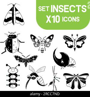 Set di simpatici caratteri di schizzo degli insetti vettore Illustrazione Vettoriale