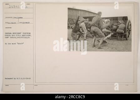 L'immagine mostra un gruppo di soldati in una scuola di addestramento per artiglieria da campo degli ufficiali centrali a Camp Taylor a Louisville, Kentucky. La foto è stata scattata il 5 novembre 1918. I soldati si stanno preparando per un'esercitazione militare, come indicato dalla parola "PRONTO" scritta sull'immagine. M.I.B. ha rilasciato la fotografia il 23 novembre 1918. Foto Stock