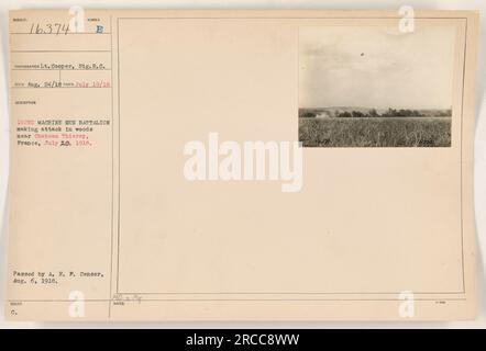 I soldati del 102° Battaglione mitragliatrici avanzano attraverso i boschi vicino a Chateau Thierry, in Francia, il 20 luglio 1918. La foto è stata scattata dal tenente Cooper del Signal Corps ed è stata pubblicata dall'American Field Press Censor il 6 agosto 1918. Foto Stock