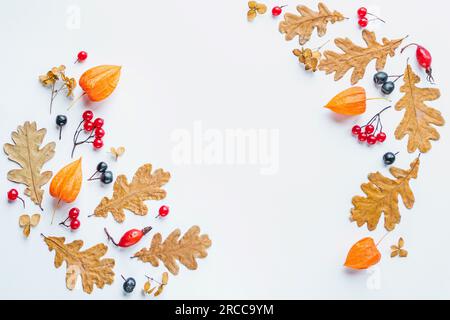 Sfondo floreale autunnale foglie secche fiori bacche disposti in cornice su sfondo bianco spazio copia Foto Stock