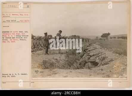 Il tenente A. J. Sutton, un membro del Signal Corps, viene mostrato addestrarsi insieme ai membri del 117th Regiment Infantry a le Havre, in Francia, il 15 giugno 1918. L'addestramento è condotto da soldati scozzesi e britannici. La fotografia è stata scattata in quella data ed è stata approvata dalla A. E. P. Censor il 16 luglio 1918. Foto Stock