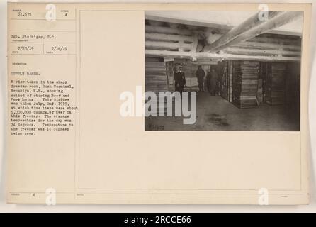 Vista dell'affilata sala freezer al Bush Terminal, Brooklyn, N.Y., utilizzata per conservare manzo e filetti di maiale durante la prima guerra mondiale. L'immagine, scattata il 2 luglio 1919, mostra circa 5 milioni di libbre di manzo conservate nel freezer. La temperatura esterna media era di 74 gradi, mentre il congelatore manteneva una temperatura di 14 gradi al di sotto dello zero. Il sergente Steiniger ha catturato questa scena. Foto Stock