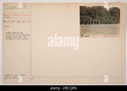 I cavalli si prepararono per l'ispezione all'Artillery Brigade Horse Show a Terigny, in Francia, durante la prima guerra mondiale. Capitano F.D. Miller della S.C.U.S.R ha scattato questa foto il 24 maggio 1918. Questa immagine è stata approvata ed emessa con le banconote numerate 17648 dalla censura della A.E.F il 29 luglio 1918. Foto Stock