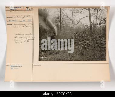 Skidding machine in un campo di legname durante le attività di legname in Alabama, Florida, Louisiana e Mississippi. La fotografia è stata scattata nel gennaio 1918 come parte della costruzione di case portatili per le forze di spedizione americane durante la prima guerra mondiale L'immagine evidenzia il settore e la manodopera coinvolti in questo processo. Foto Stock