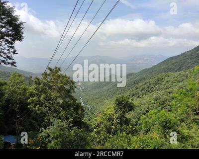 Lussureggiante vista verde dal Sentiero pedonale di Srivari Mettu che conduce al Tempio di Tirupati Foto Stock