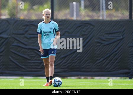 Perth, Australia. 13 luglio 2023. Australia, Perth, 13 luglio 2023: Pernille Harder della Danimarca durante la sessione di allenamento aperto durante il pre-camp prima della Coppa del mondo femminile in Australia e nuova Zelanda al WA State Football Centre di Perth, Australia. (Daniela Porcelli/SPP) credito: SPP Sport Press Photo. /Alamy Live News Foto Stock