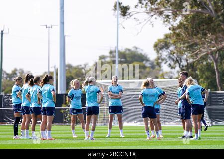 Perth, Australia. 13 luglio 2023. Australia, Perth, 13 luglio 2023: Giocatori della Danimarca durante la sessione di allenamento durante il pre-camp prima della Coppa del mondo femminile in Australia e nuova Zelanda presso il WA State Football Centre di Perth, Australia. (Daniela Porcelli/SPP) credito: SPP Sport Press Photo. /Alamy Live News Foto Stock