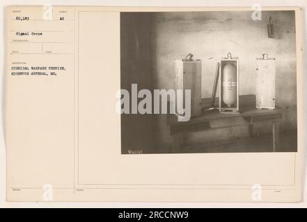 Membri del Chemical Warfare Service che conducono operazioni all'Edgewood Arsenal nel Maryland. L'immagine mostra persone in un dispositivo di protezione impegnato in attività di guerra chimica. Questa foto è stata scattata e ricevuta dal corpo dei segnali ed è classificata con il numero di identificazione SUNSER 60.183. Foto Stock